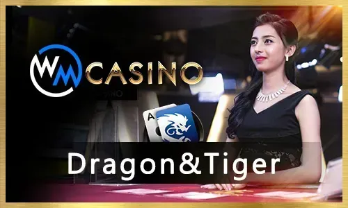 VIP88 Online Casino Platform